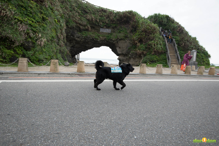 27-2013WanliBitanphoto1223-2392501418-O 拷貝