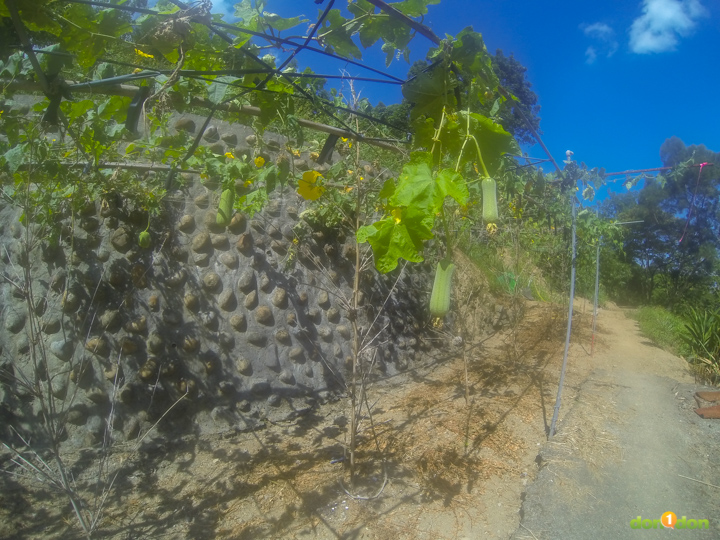DCIM100GOPRO