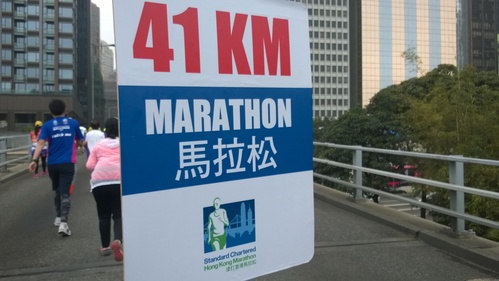 41
