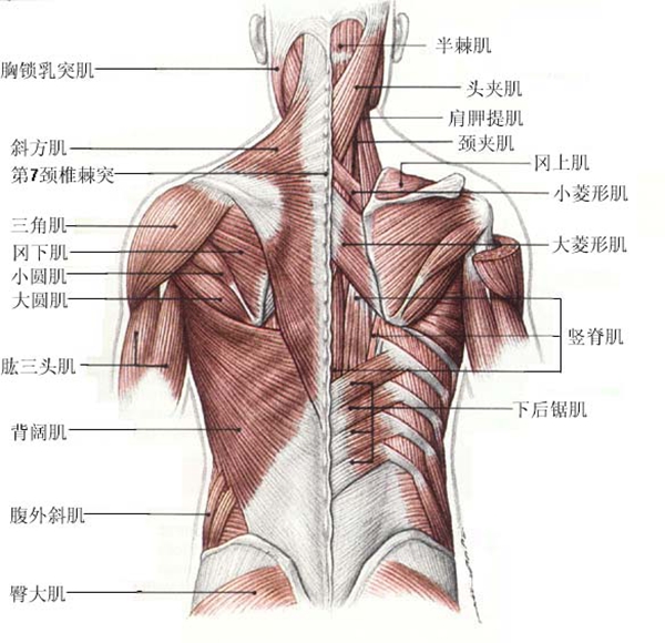 書訊8