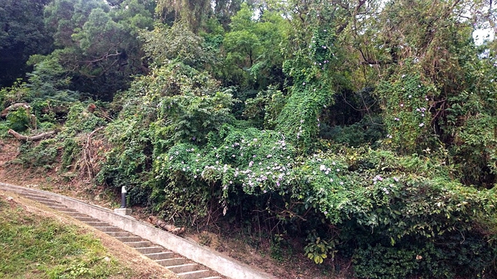 15625991178_7d02fe32fa_b