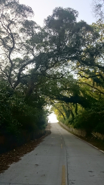 15811725515_2ea4478ce3_k