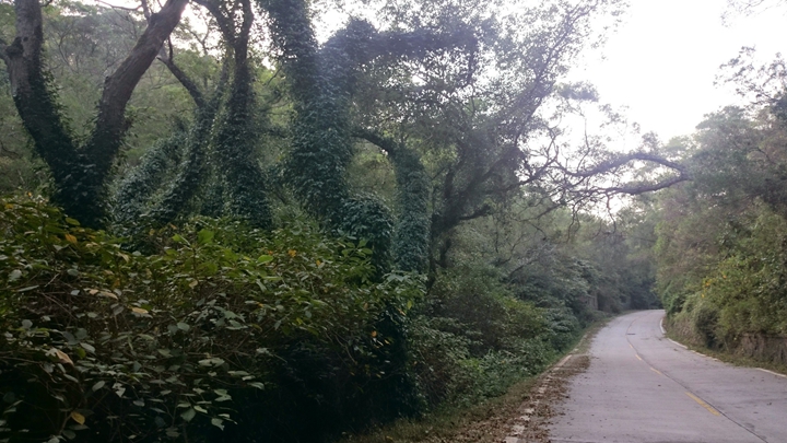 15813285182_bb8d716071_k