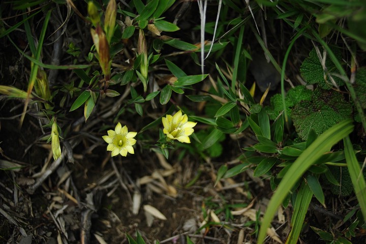 IMGP9764 (1)