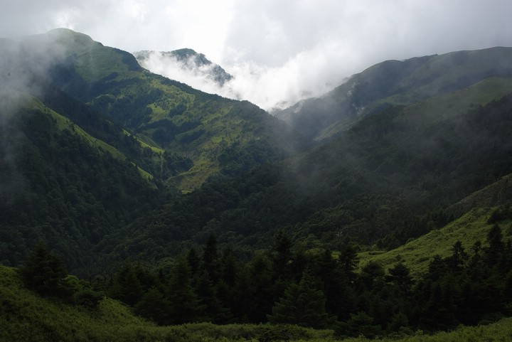 IMGP9774