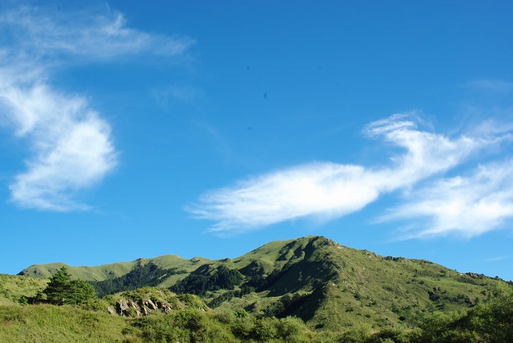 IMGP9896