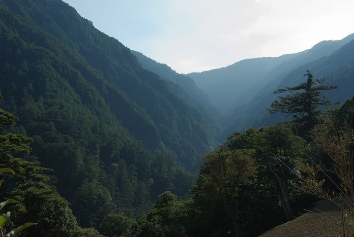IMGP4733