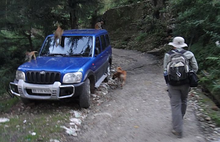 5101043593_24da415e9f_o_副本