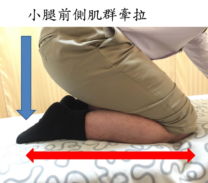 圖片1小腿前側肌群牽拉
