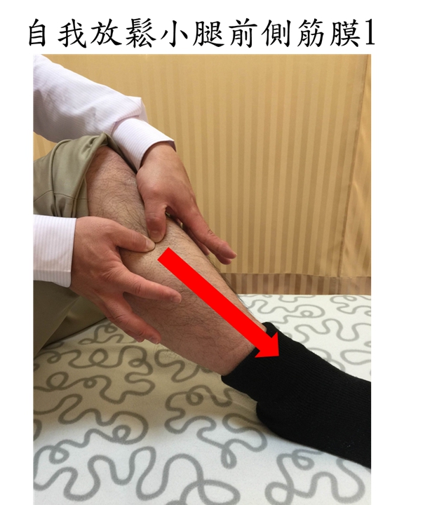 圖片3自我放鬆小腿前側筋膜1