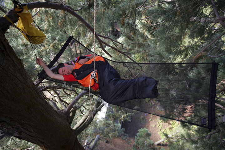 A tree climber rests in a hammock hanging in a giant Sequoia, Sequoia Crest, California.