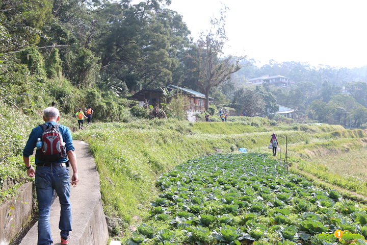 71543_好天氣來了,你越野了沒?merrell野人幫硫磺谷野人抓兔子_28