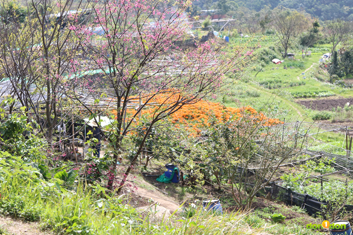 71543_好天氣來了,你越野了沒?merrell野人幫硫磺谷野人抓兔子_18