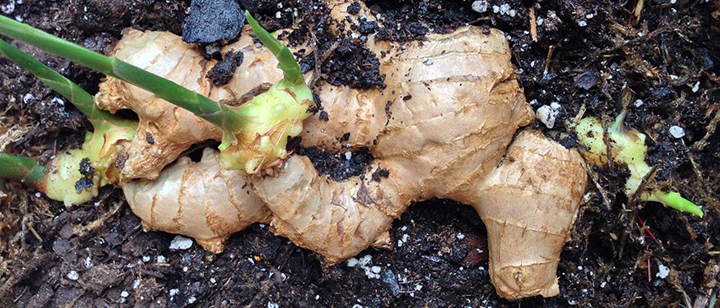 73072_腸胃不好怎麼辦_12