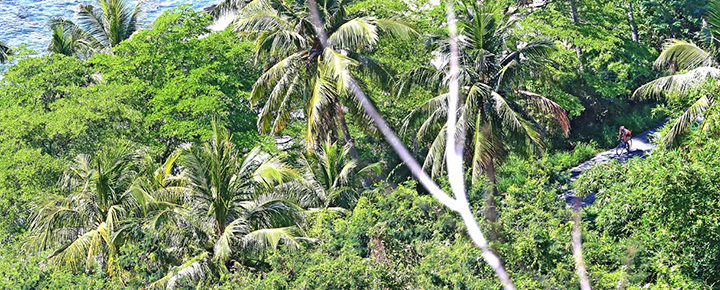 74856_要成為鐵人難不難?楊勤的鐵人…ge-taiwan-51-5_9779