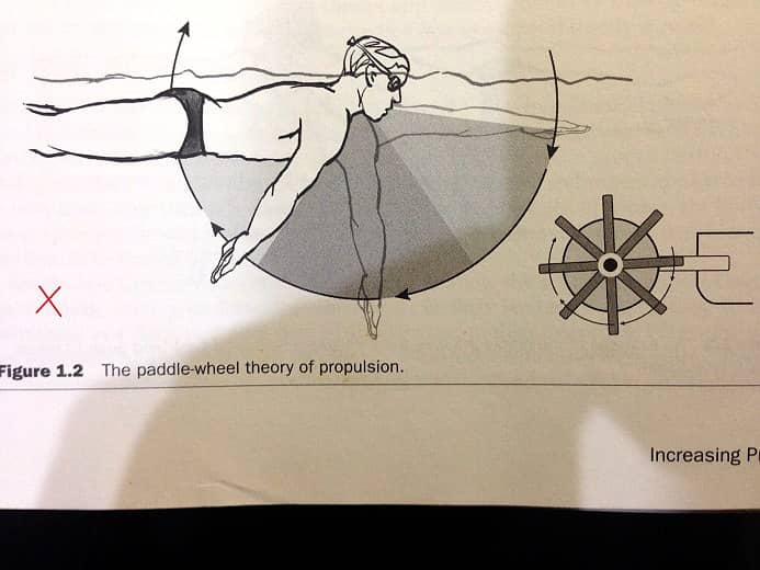 「風車式」直臂向下划，推進的效益較不理想。（圖片來源：Swimming fastest）