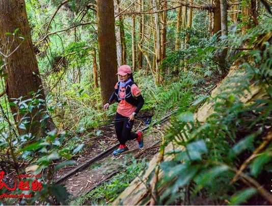 我活下來了 龍虎鳳越野賽賽記(上)
