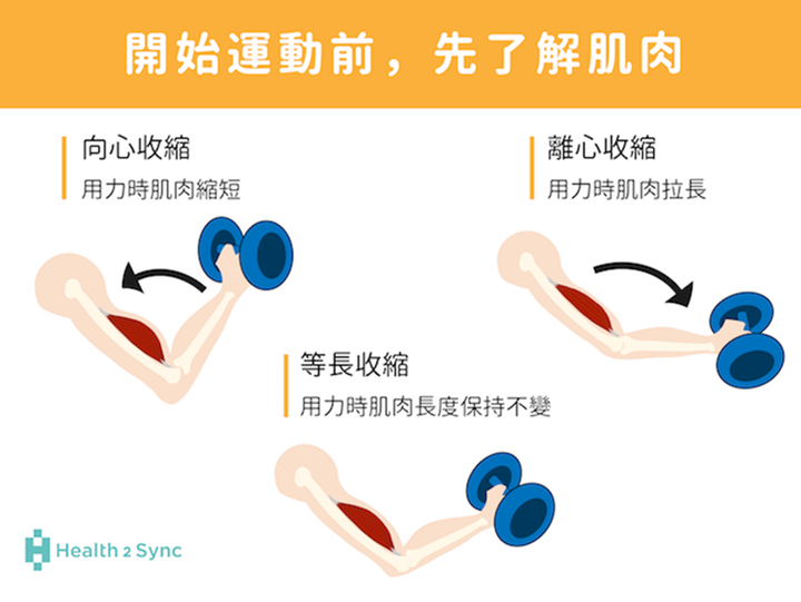 煞車過程中，肌肉不斷地產生離心收縮造成肌肉肌腱高強度負荷 。（圖片來源：你可以，靜靜的動）