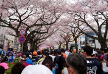 跑在櫻花樹下 闔家參與的日立櫻花路跑賽