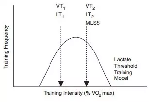 ▲ 訓練強度分佈的金字塔模型