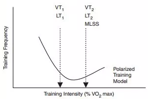 ▲ 訓練強度分佈的兩極化模型