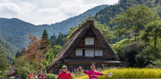 白山白川馬拉松是所有地質公園系列中，唯一可同時飽覽世界遺產與地質公園秀麗秀風景的賽事