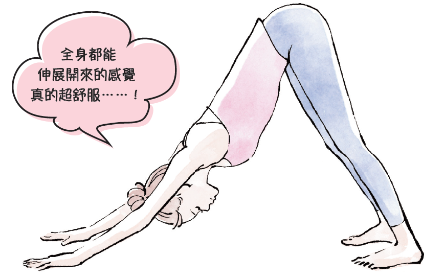 以身體的內側為中心伸展肌肉,可以讓全身的柔軟度都提升。