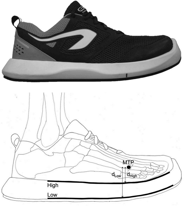 圖片來源：The stiff plate location into the shoe influences the running biomechanics