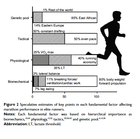 這張圖來自另外一群學者針對了近兩年破兩小時馬拉松背後的科學依據。