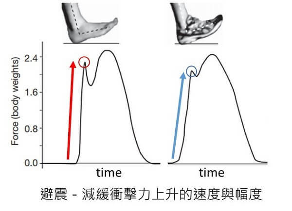 圖片來源：修改自Nature, 463(7280), 531-535