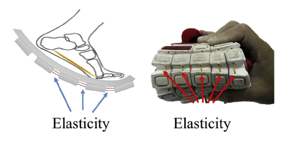鞋體彈性設計 圖片來源: Human Movement Science, 38, 163-172.