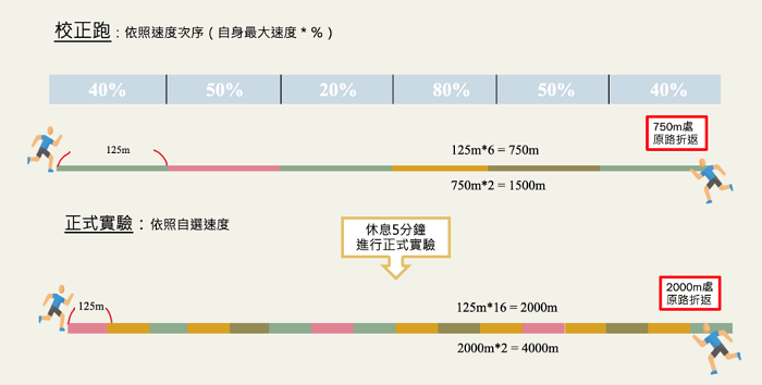 實驗流程示意圖