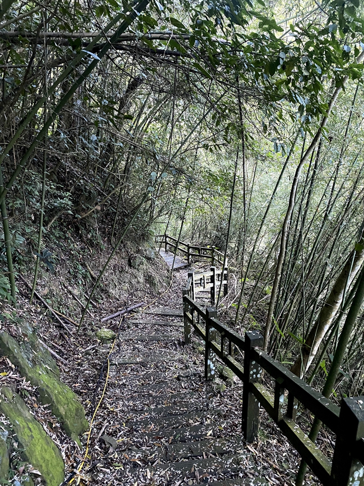 青年嶺步道一景