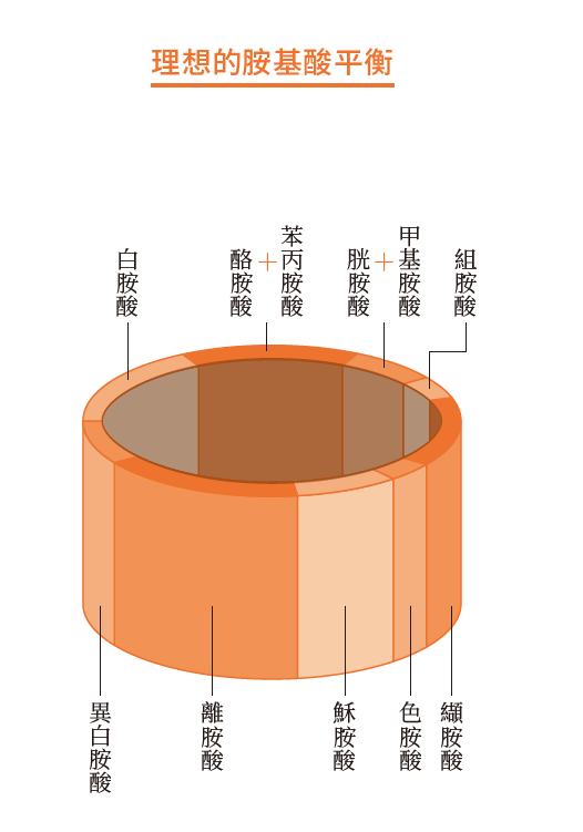 常用來說明胺基酸分數的「水桶理論」。桶子的每塊板子的長度都是相對於各胺基酸相對於基準值的比例，而桶子裡蓄的水就是胺基酸分數。