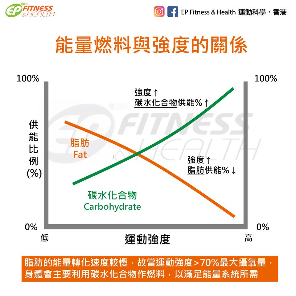 中低強度運動才能減脂只見樹木不見林 動一動don1don