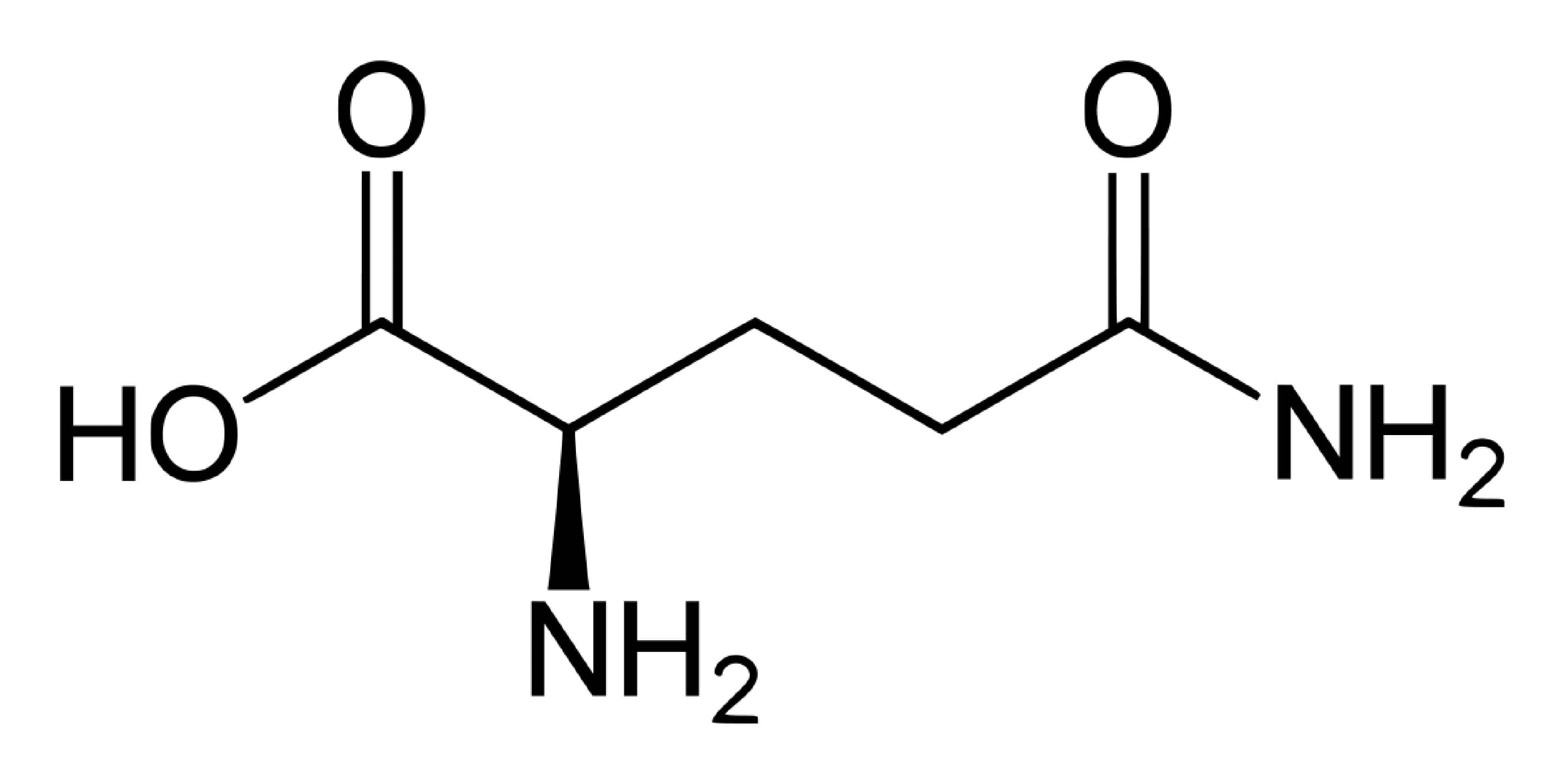 解密麩醯胺酸 我們該額外補充體內麩醯胺酸嗎？