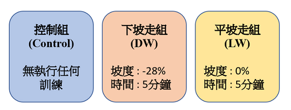 三組受試者接受不同的訓練項目