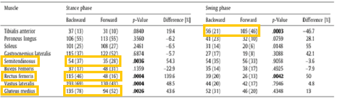 Semitendinosus:半腱肌 Rectus femoris:股直肌 Gluteus medius:臀中肌 圖片來源：Gait & posture, 46, 135-141.(2016)