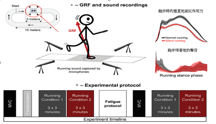 圖片來源:Journal of Sports Sciences, 39(4), 421-429.