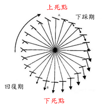 圖1 踩踏力量在一圈中的變化 圖片來源：Exercise and Sport Sciences Reviews, 19(1), 127-170