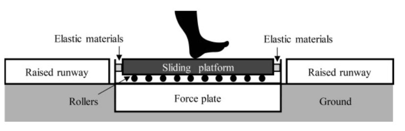 圖片來源: Journal of Biomechanics, 93, 226-230.