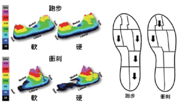 圖片來源：Research in Sports Medicine, 25(1), 37-47.