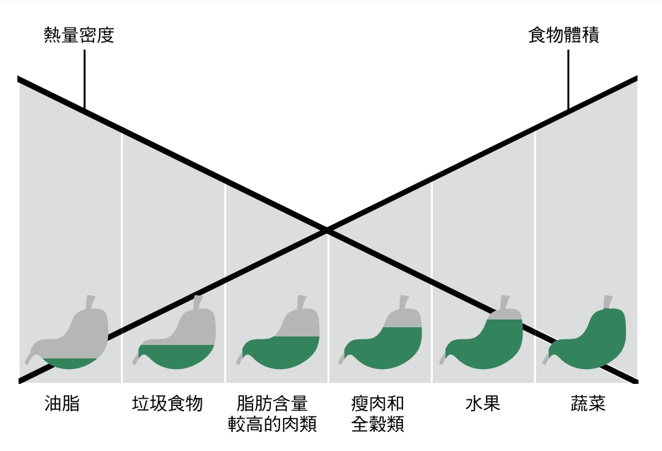 圖8.1 食物種類的體積與熱量密度。由左到右代表食物體積由小到大，熱量密度由高到低。食物體積越小且熱量密度越高，帶來的飽足感就越少（如下面胃部圖形所示）。