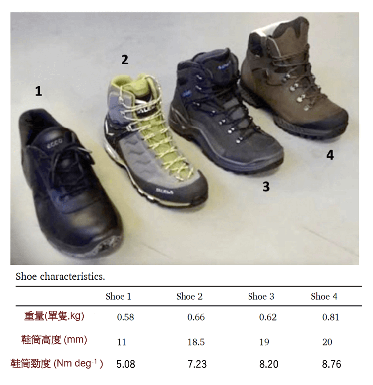 資料來源: Journal of Biomechanics, 126, 110643.