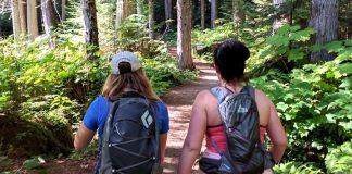 照片來源：bewildadventures