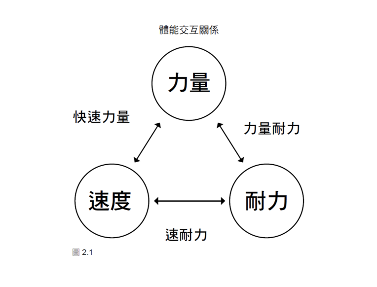 圖2.1-體能交互關係