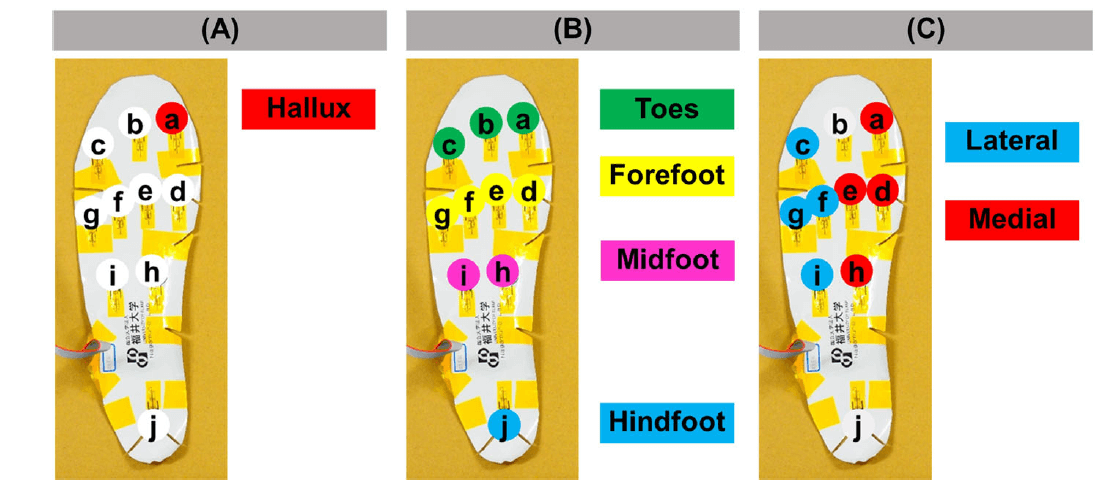 分析區塊示意圖 圖片來源: Journal of Foot and Ankle Research, 13(1), 40. (2020)