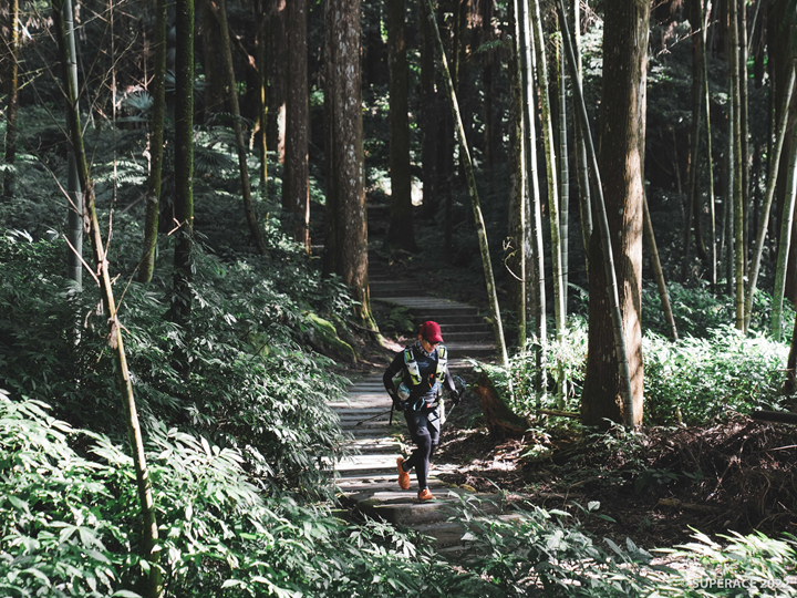 跑進不同的角落，挖掘不同的阿里山美景（圖：SUPERACE提供）