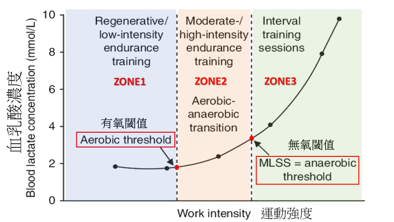 圖片來源: Faude O, Kindermann W, Meyer T. (2009). Sports Med. 39(6):469-90.