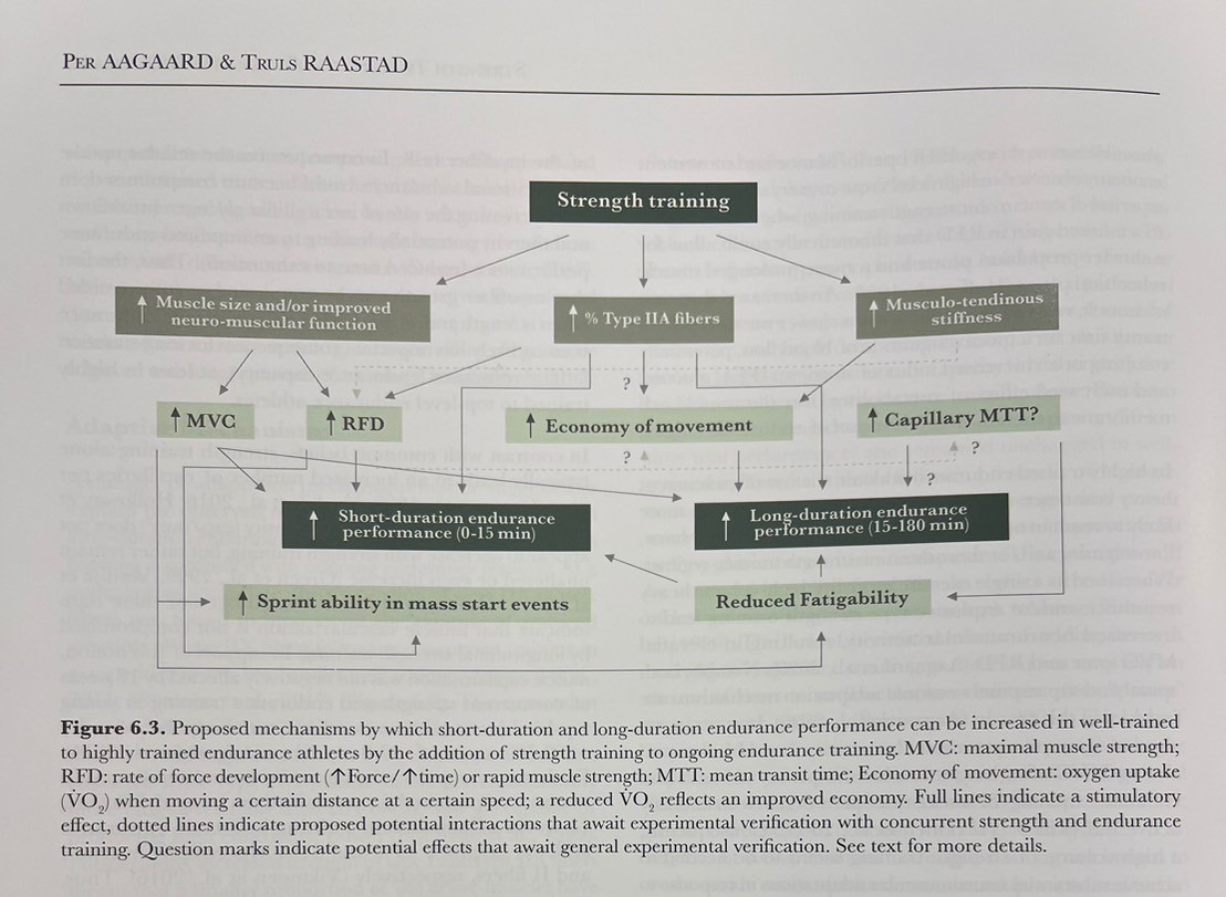 參考書籍 : Endurance Training - Science and Practice (2nd edition)